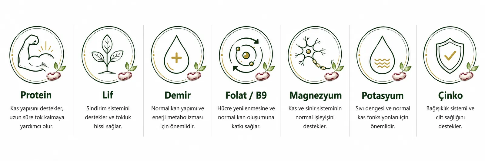 Besin Değerleri ve Faydaları