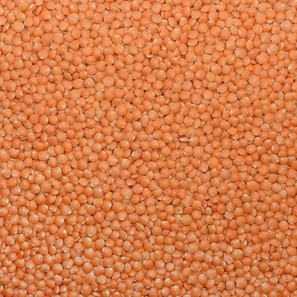 Kırmızı Futbol Mercimek (Yerli Naturel)