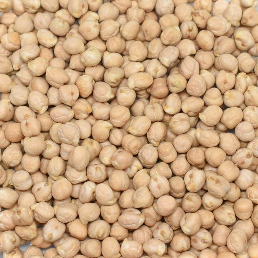 Nohut 8 mm
