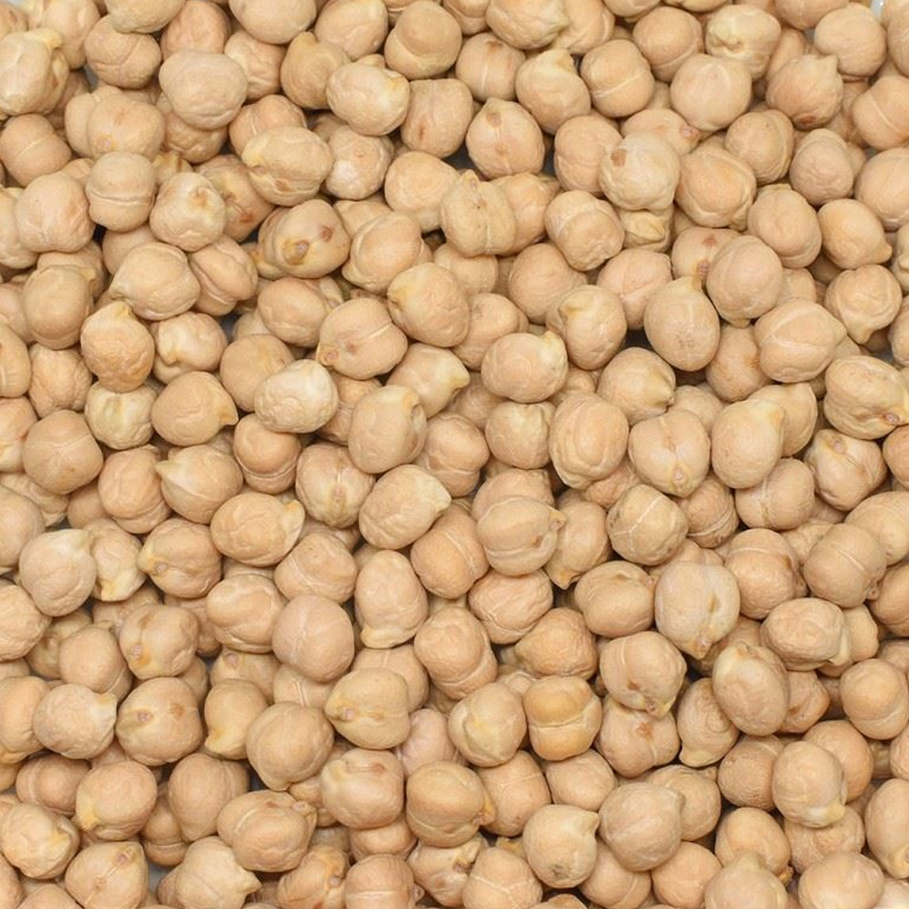 Nohut 8,5 mm