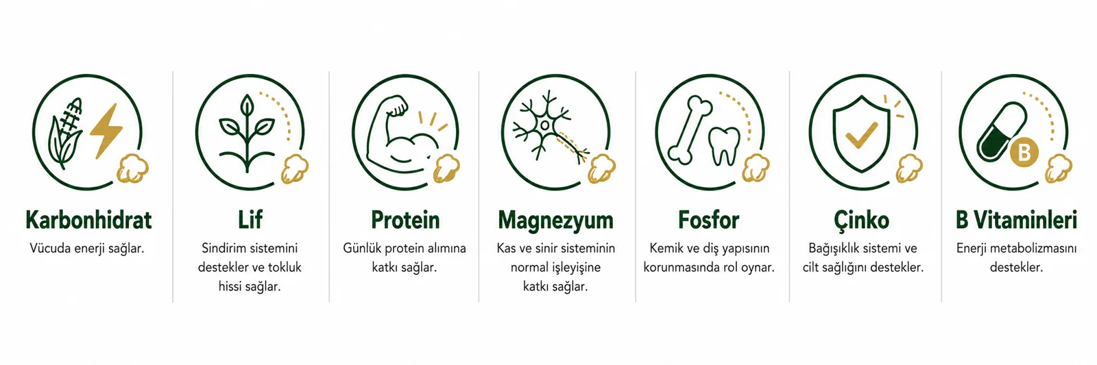 Besin Değerleri ve Faydaları