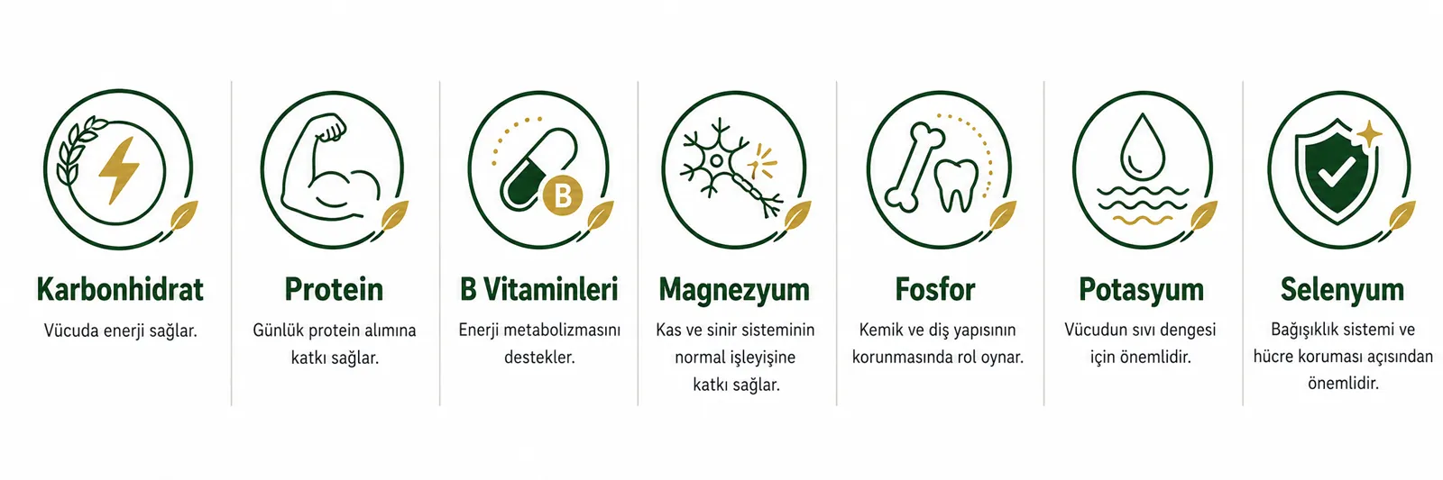 Besin Değerleri ve Faydaları